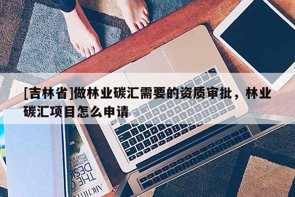 [吉林省]做林業(yè)碳匯需要的資質(zhì)審批，林業(yè)碳匯項(xiàng)目怎么申請(qǐng)