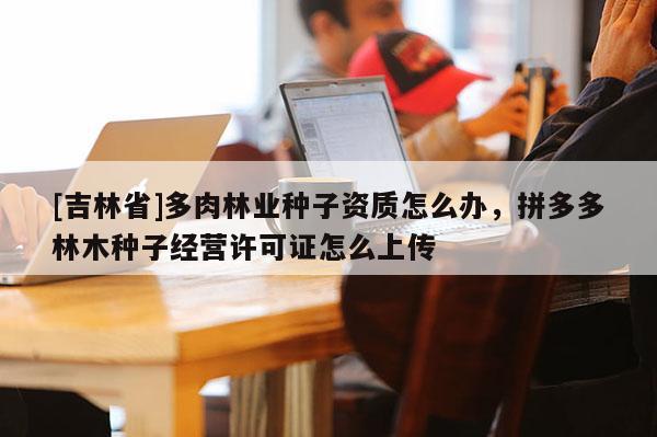 [吉林省]多肉林業(yè)種子資質(zhì)怎么辦，拼多多林木種子經(jīng)營許可證怎么上傳