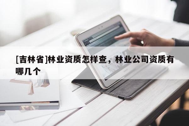 [吉林省]林業(yè)資質(zhì)怎樣查，林業(yè)公司資質(zhì)有哪幾個