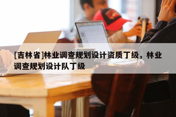 [吉林省]林業(yè)調(diào)查規(guī)劃設(shè)計資質(zhì)丁級，林業(yè)調(diào)查規(guī)劃設(shè)計隊丁級