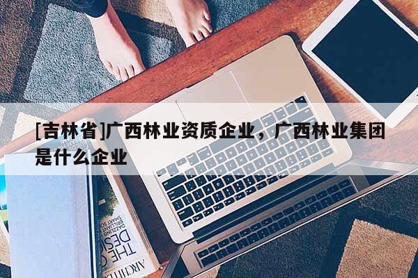 [吉林省]廣西林業(yè)資質(zhì)企業(yè)，廣西林業(yè)集團(tuán)是什么企業(yè)